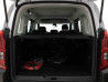 CITROEN BERLINGO E-BERLINGO 50 KWH 136 M PLUS