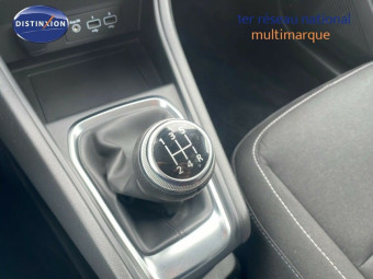 RENAULT CAPTUR 1.0 TCE GPL 100CH BUSINESS