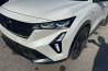 RENAULT RAFALE 4X4 300 ESPRIT ALPINE PLUS